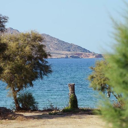 Seaside Paros - Naousa エクステリア 写真
